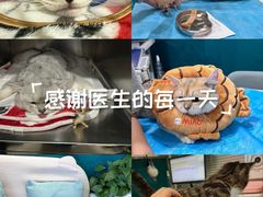 -美迦爱动物医院·夜诊(朝阳路诊疗中心)