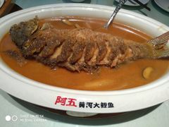 -阿五黄河大鲤鱼(纬三路店)