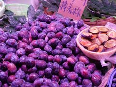 -五里多农博广场