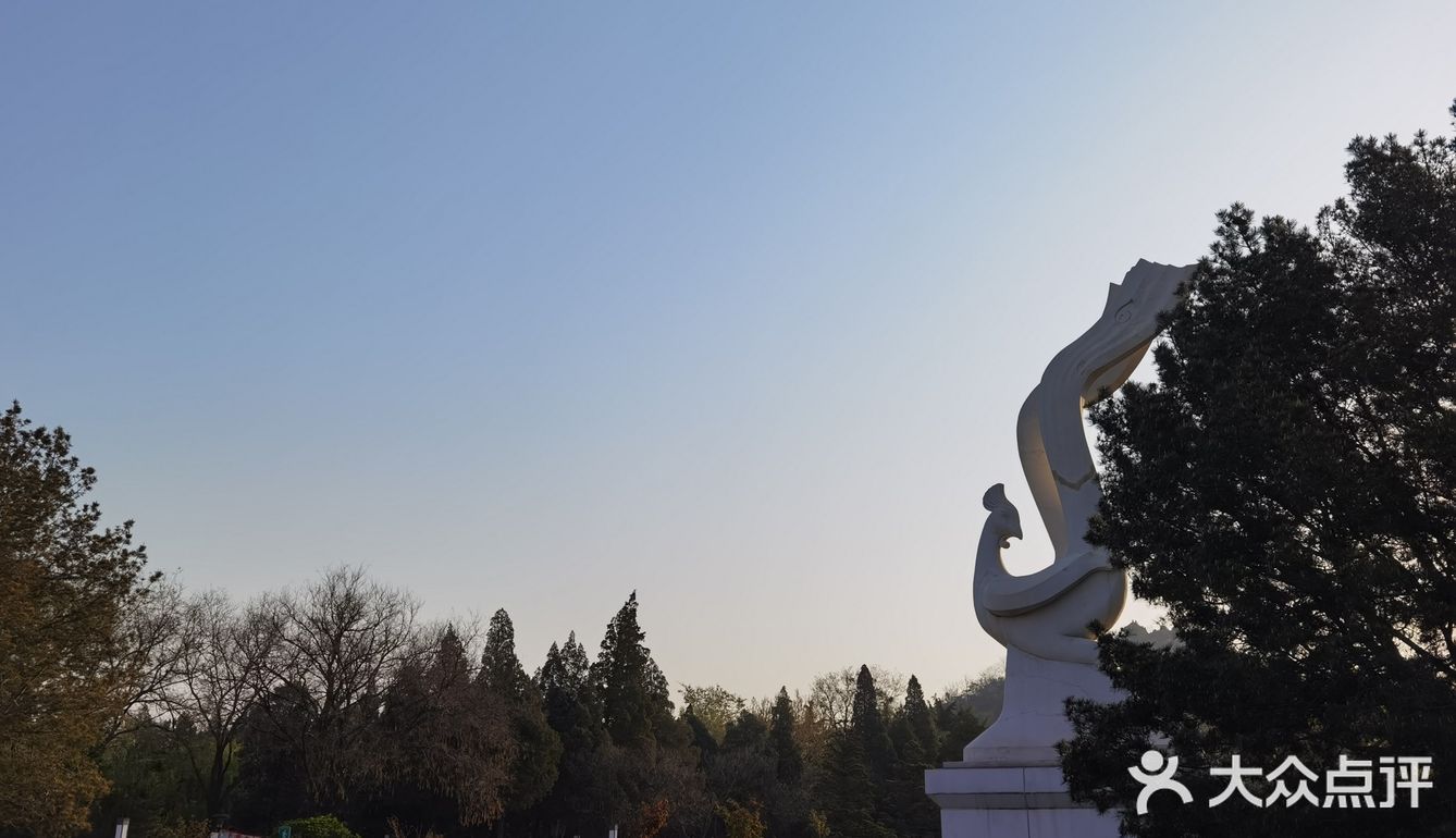 早上做完了核酸顺便去凤凰山爬了个山，据说山顶的亭子要