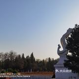 早上做完了核酸顺便去凤凰山爬了个山，据说山顶的亭子要