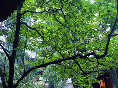 -成都武侯祠博物馆