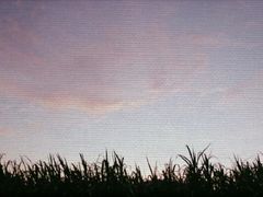 -成都恒博医院·全科检查