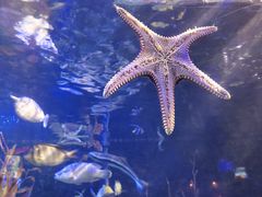 -太平洋海底世界