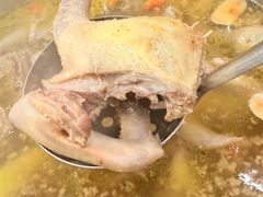 -鸽鸟轩(石岐店)