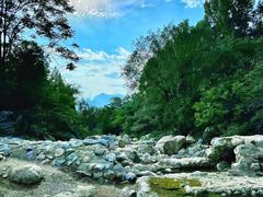 -禅宗少林·音乐大典