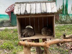 -泉州海丝野生动物世界