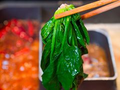 -巴奴毛肚火锅(安阳相州店)