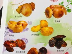 菜单-丽江庭院之爱在路上(西单店)