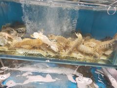 -海味当家(西安路店)
