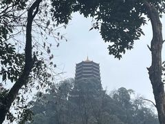 -青城山