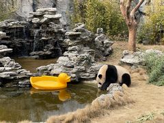-杭州野生动物世界