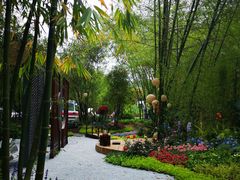 -深圳仙湖植物园