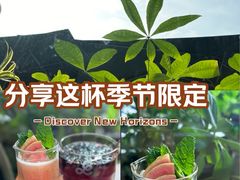 -gaga(深圳南山益田假日广场店)