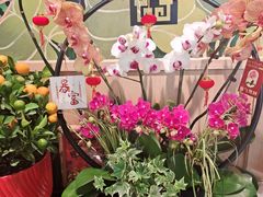 -帕蓝·暹罗料理(大学路店)