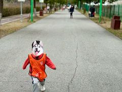 -菊园百果园
