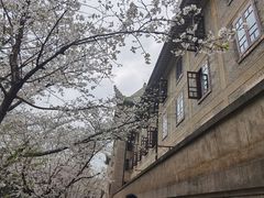 -武汉大学-樱园