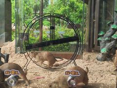 -珠海海泉湾神秘岛亲子乐园