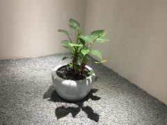 -常乐·对症推拿(解放碑英利大融城店)