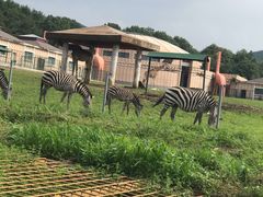 -哈尔滨北方森林动物园