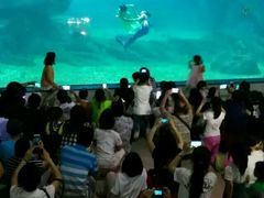 -福州罗源湾海洋世界旅游区