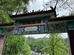 -缙云山景区