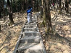 -火炉山森林公园