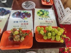 -马陆小张葡萄园农家乐