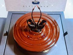 -BLACKSWAN黑天鹅(环球店)