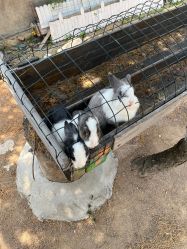 -童心园麦窑·儿童拓展探宝乐园