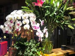 -春暖花开(西溪店)