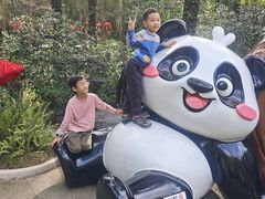 -都江堰中华大熊猫苑