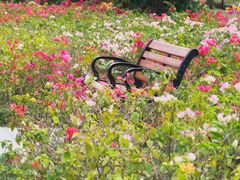 -荔香公园