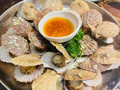-前海沿·青岛菜(大拇指广场石老人店)