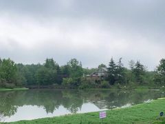 -桤木河湿地公园