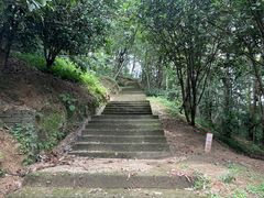 -屈原故里文化旅游区