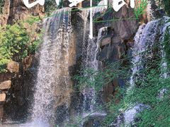 -上海鲜花港