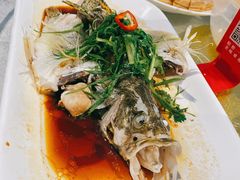 清蒸龙趸鱼-大树头森林餐厅(番禺广场店)