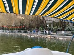 -莲湖公园