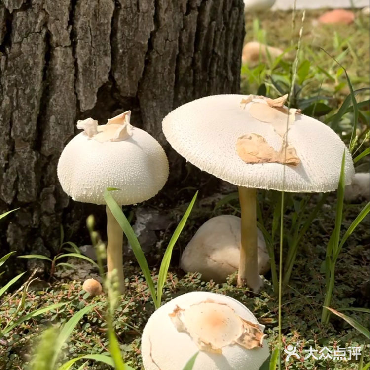 速看🔥全网热议话题盘点