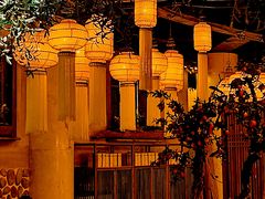 -叶叶菩提·晋福宫