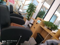 -章光101防脱养发荟