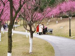 -沐仙湖湿地公园