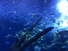 -多彩贵州城极地海洋世界