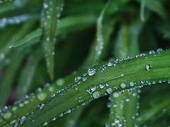 -黑河国家森林公园