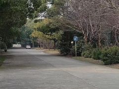 -胜华驾校·小猫学车(银都店)