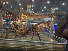 -国家自然博物馆