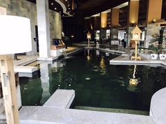 -汉拿山温泉度假酒店