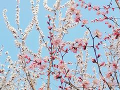 -天津东丽湖风景区