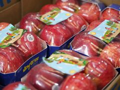 -西郊国际农产品交易中心
